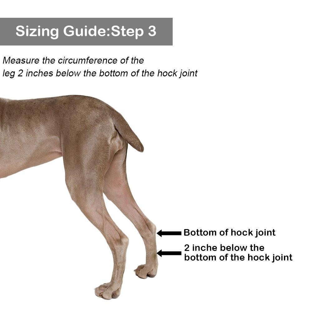 Attelle De Jambe De Chien