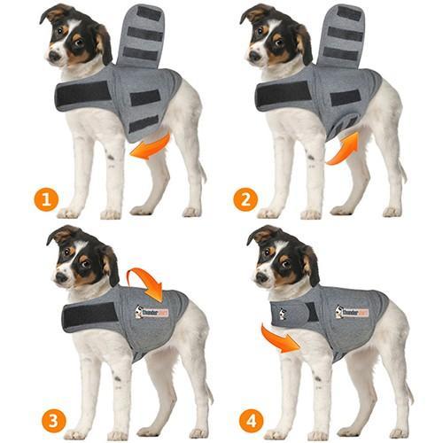 Veste Thundershirt Dog Anxiety